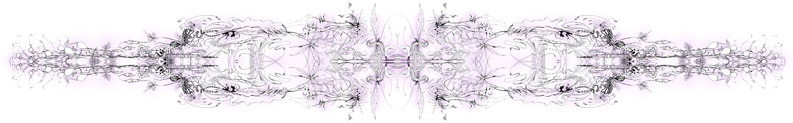 an illustration of something with bilateral symmetry